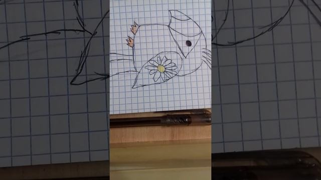 Как нарисовать попугая смотреть онлайн