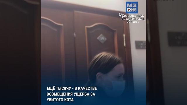 МЗЖ: Кузькино дело окончилось сроком смотреть онлайн