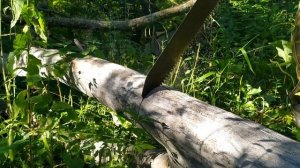 На мотоблоке в лес за дровами