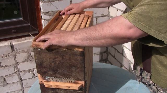 ловушка для пчел, обзор.,как я ее сноряжаю перед установкой смотреть онлайн