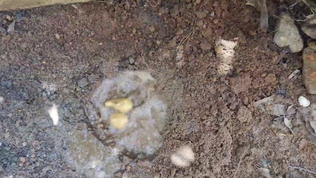 Minecraft in real life Malayalam 😮🙀@SoloViner XD #ad #minecraftmalayalam смотреть онлайн