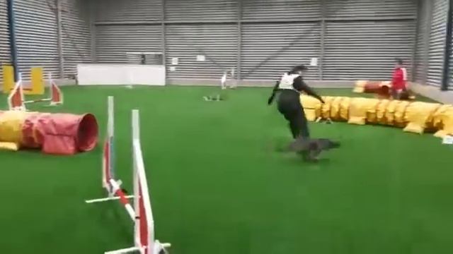 Samolla Galaktika "Vire" agility смотреть онлайн