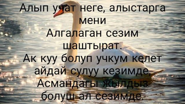 Айпери Кубик кызы ✨ Сезим ✨ //Текст // Караоке // Аткаруучунун үнү менен // смотреть онлайн