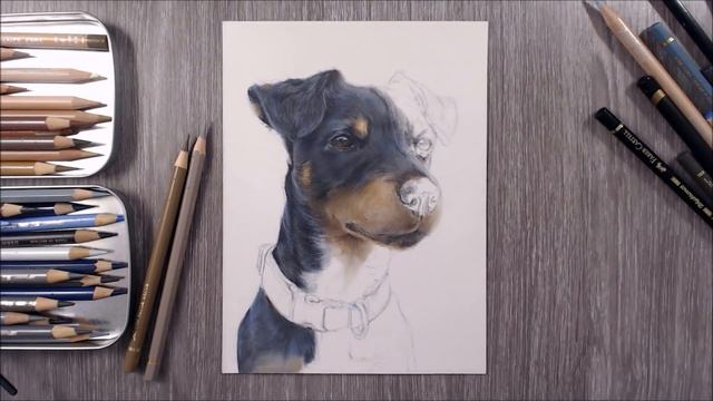 How To Draw Black Fur | Coloured Pencil Demo