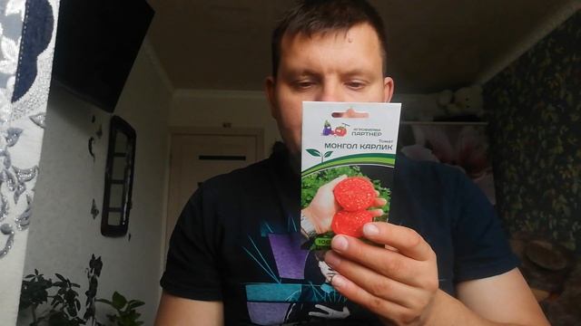 Томат Монгол Карлик Обзор смотреть онлайн