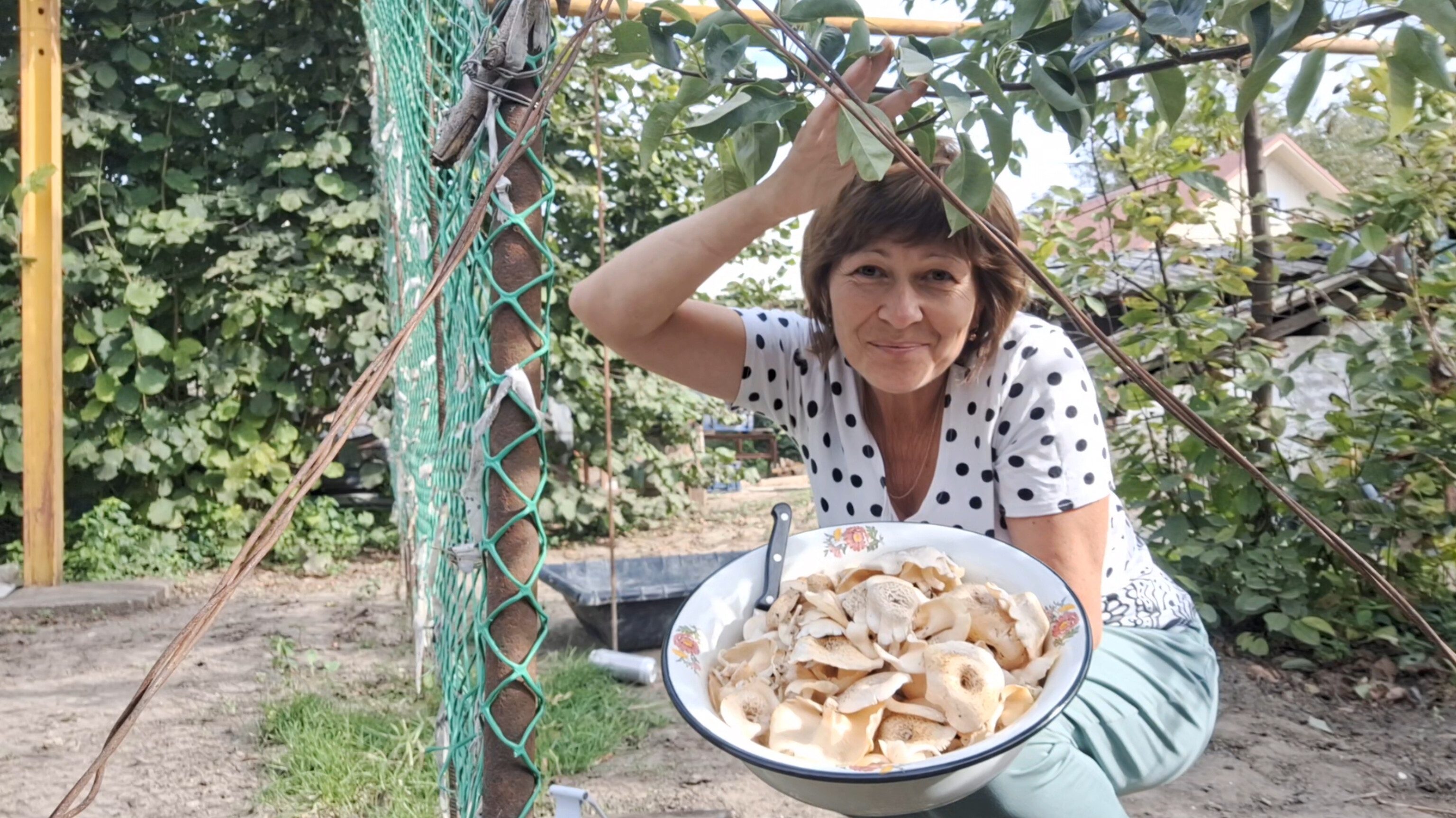 Грибной сезон на Кубани | Второй урожай винограда смотреть онлайн