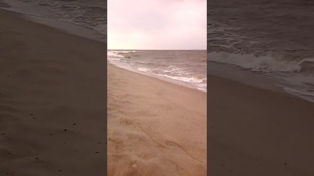Посёлок Янтарный. Балтийское море. смотреть онлайн