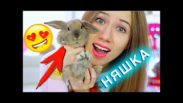 кто лучше eli di или anny may смотреть онлайн