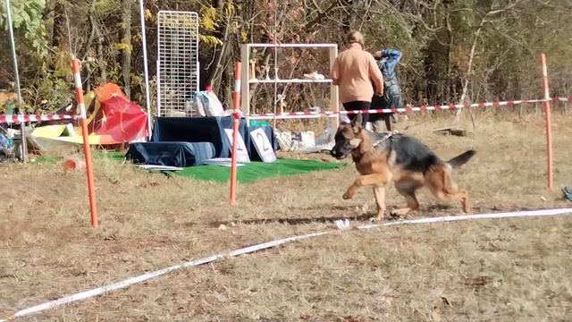 Подростки суки - моно в Краснодаре 2023