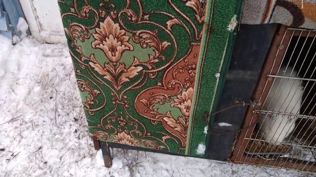 Димкино хозяйство. грызуны 23 нутрии. смотреть онлайн