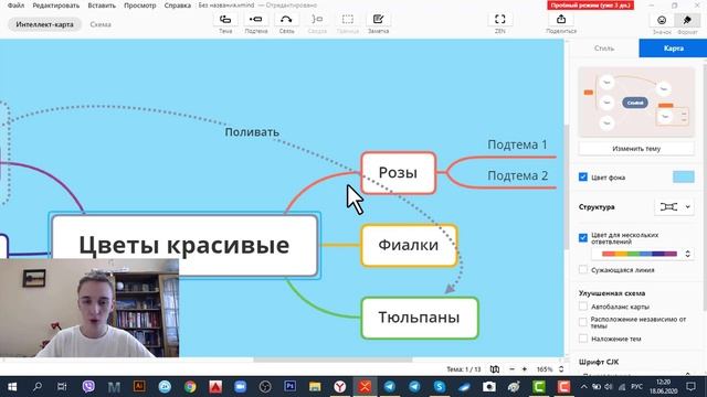 Рисуем интеллект карту в Xmind zen 2020! Подробный разбор базовых функций программы для умных карт смотреть онлайн