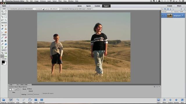 Photoshop Elements: Content Aware Move Tool смотреть онлайн