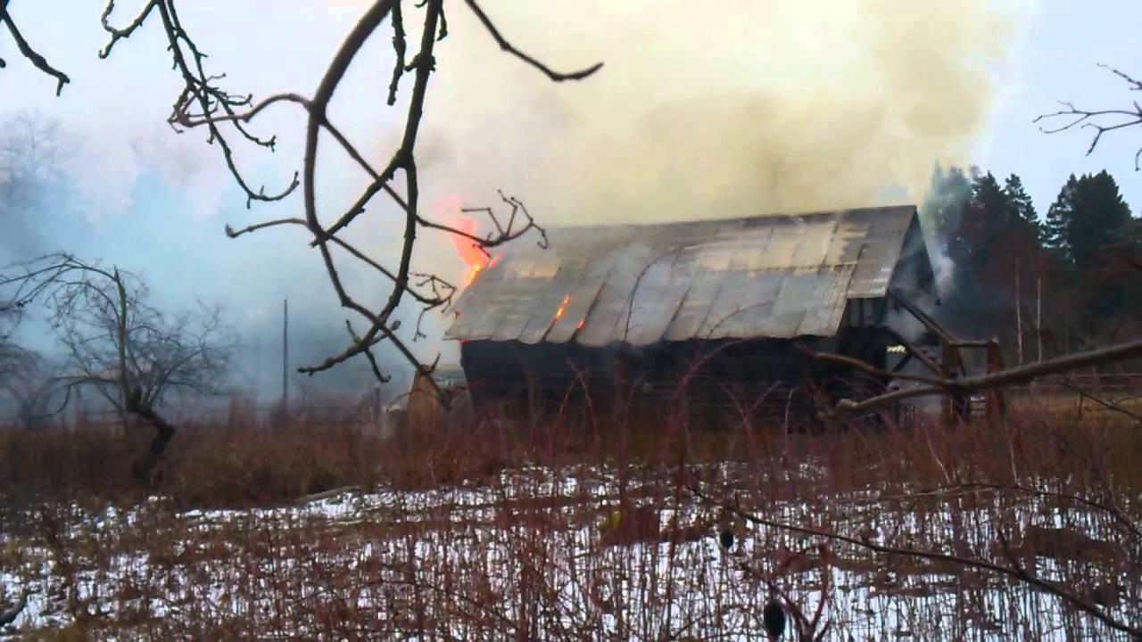 Горит Казачий кордон в Салтыковском лесопарке 2 смотреть онлайн