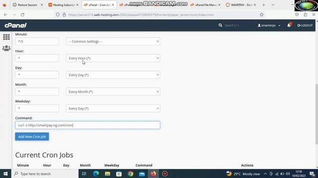How to set Cron Job on Cpanel смотреть онлайн
