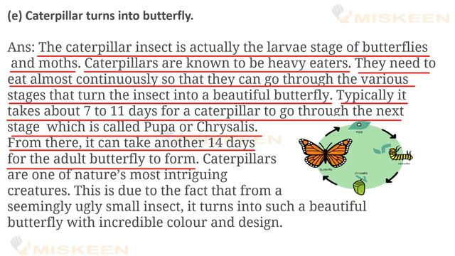 3.5 Alchemy of nature|Warming up chit chat, margin worda and questions смотреть онлайн