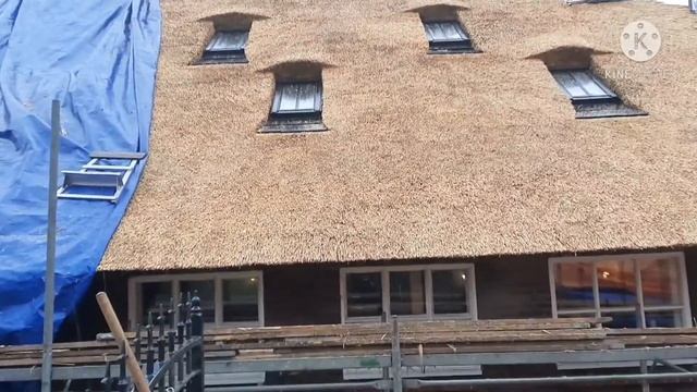 крыша из камыша в Нидерландах! смотреть онлайн