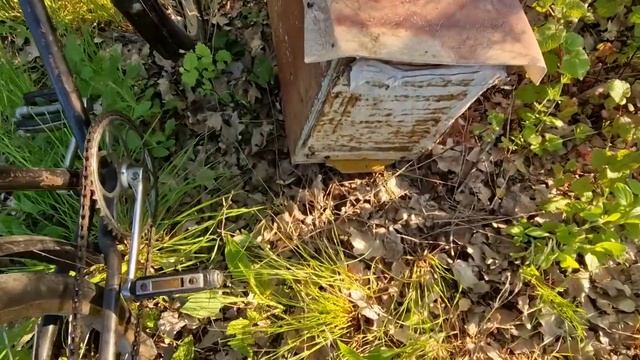 Открываем сезон охоты на пчелиные рои. смотреть онлайн
