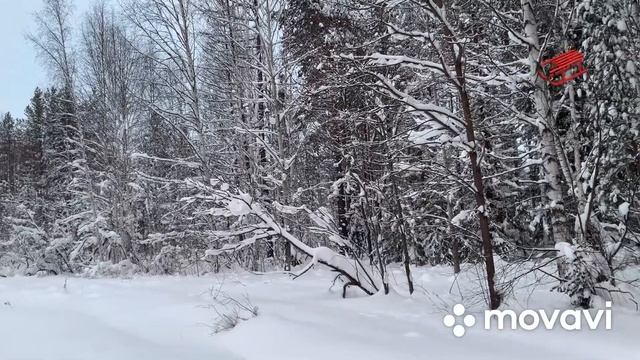Позитивчик из леса ❄️❄️❄️Снежная зима ❄️❄️❄️Гоняем на снегоходе!❄️❄️❄️???#снег #снегоход ? смотреть онлайн
