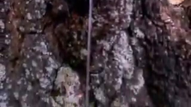 Сок течет смотреть онлайн