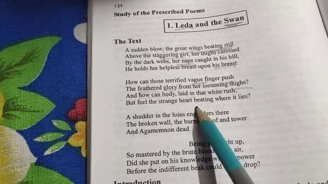 Leda And The Swan by William Butler Yeats || Line by Line Explanation || смотреть онлайн