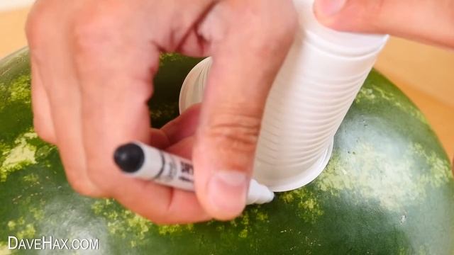 Watermelon Juice Party Trick смотреть онлайн