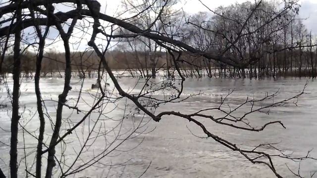 Ракета:-) смотреть онлайн