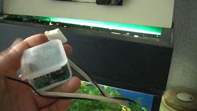 Охлаждение аквариума компьютерными вентиляторами. смотреть онлайн