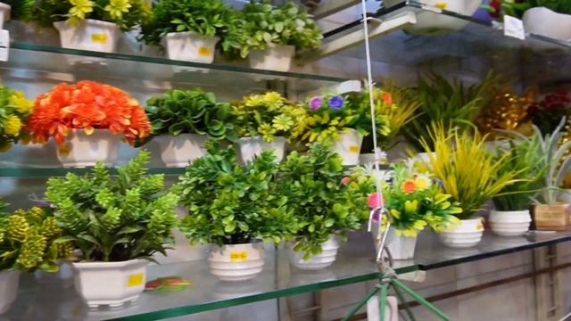 Tulshibaug Pune ?#shopping #decor #information #explore #tulshibaug #pune #Maholgirl #AmeyaKvideos смотреть онлайн
