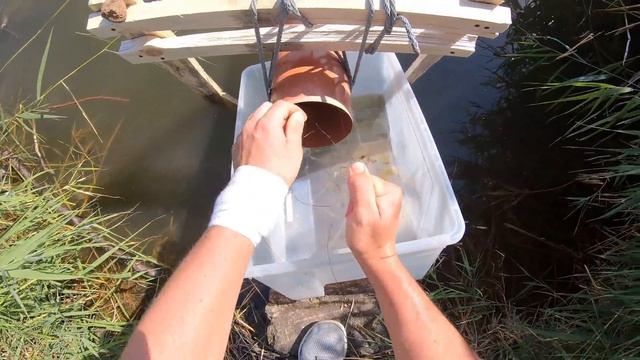 Труба ЛОВЛЯ, ловля рыбы на трубу. смотреть онлайн