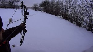 Охота в Африке на льва