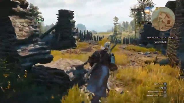 The Witcher 3 Wild Hunt botchling glitch смотреть онлайн