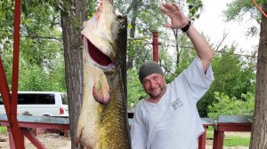 СОМ 2 м - 60 кг - МОНСТРЫ реки Ахтуба 2024, троллинг в один спиннинг, воблер ТРОН рыбалка с ДИВЕРОМ