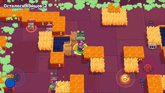 КАК СКАЧАТЬ BRAWL STARS НА КОМПЕ В 2024 ГОДУ!!! смотреть онлайн