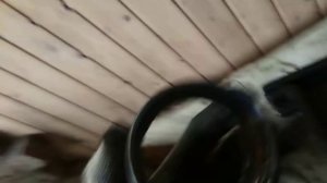 Замена подвесного подшипника ГАЗОН NEXT.