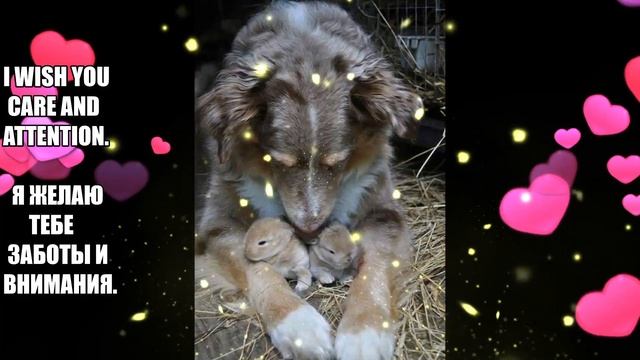 NEW YEAR WISHES. НОВОГОДНИЕ ПОЖЕЛАНИЯ. смотреть онлайн