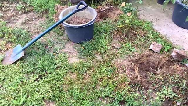 ОНИ оказывается КАПРИЗНЫЕ и не всё едят ЛОВЛЮ моменты для ДЕЛ во дворе смотреть онлайн