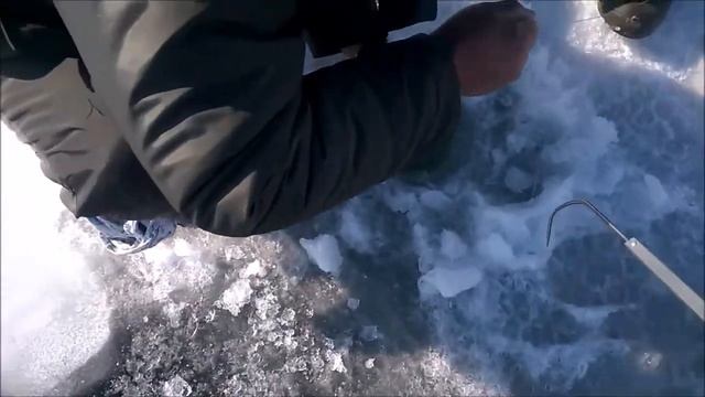 Копия видео "щука 7 кг" смотреть онлайн