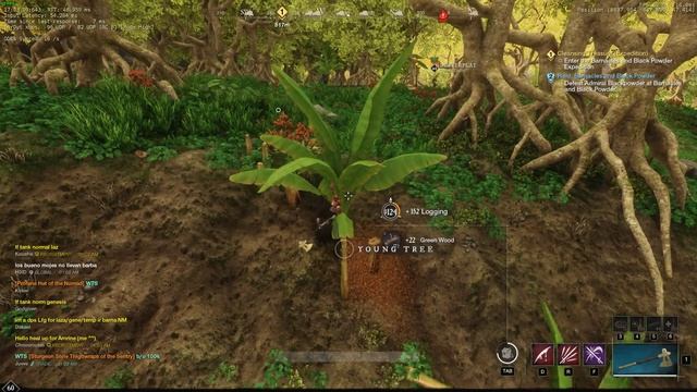 New World 18-08-2022 - Logging Bot: fujunb (Nysa) смотреть онлайн