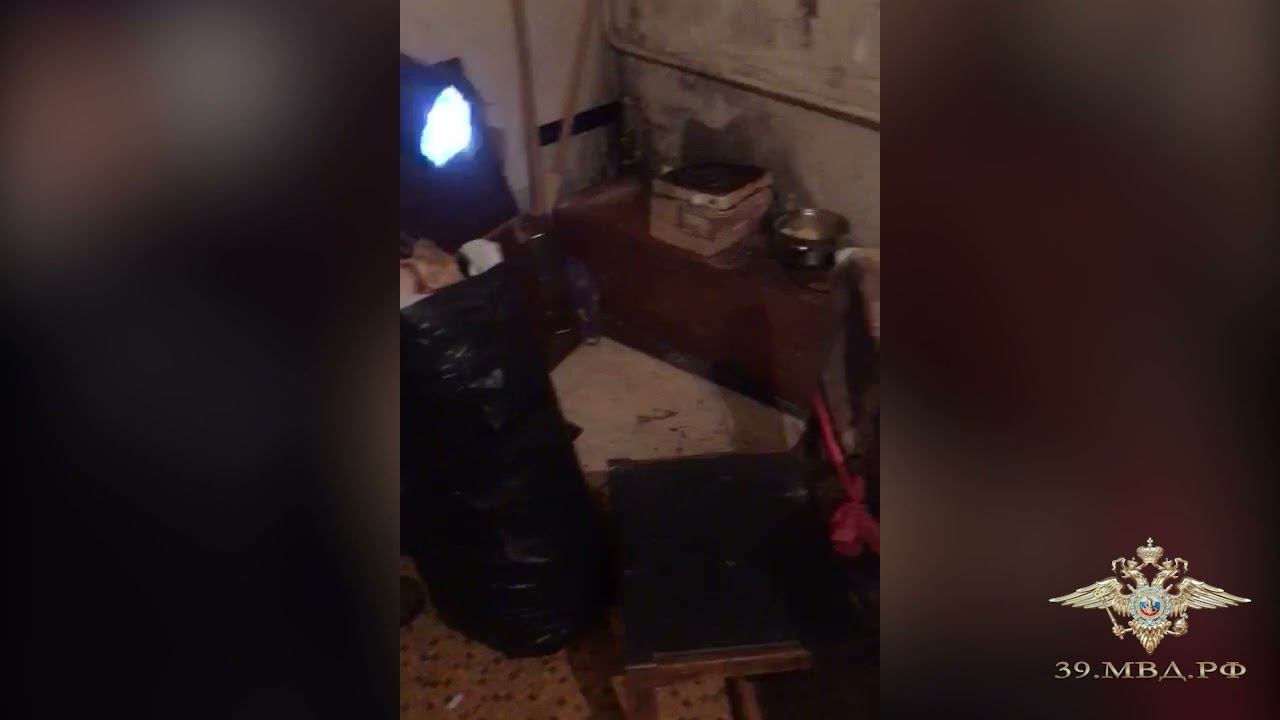Полицейские ликвидировали наркопритон в квартире 35 летней калининградки смотреть онлайн