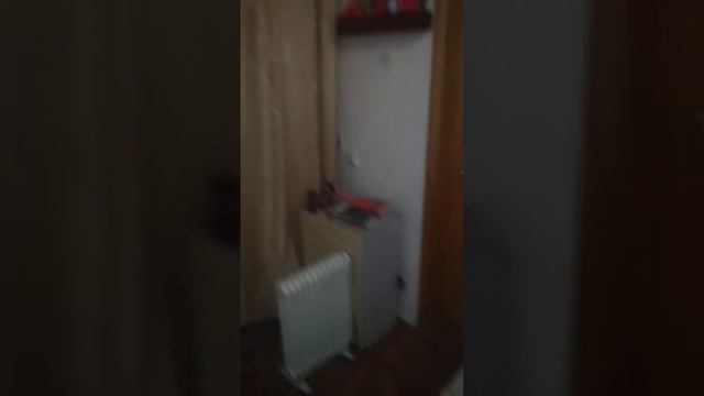 сдаю зал в аренду на часы в 100 м от вокзала Поддипки 1500 час тел 89895800802 самозанятая. смотреть онлайн