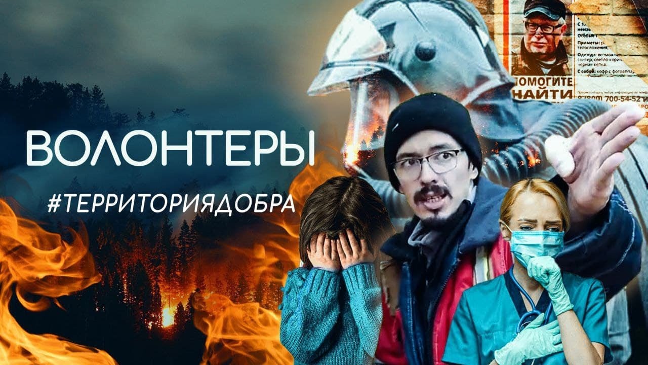 Волонтеры