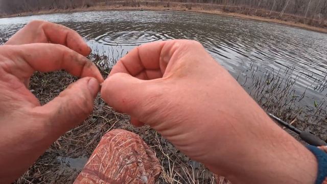 ДОСАДНЫЙ ОБРЫВ! АКТИВНЫЙ КЛЕВ НА ПИКЕР. НЕОЖИДАННЫЙ ГОСТЬ НА РЫБАЛКЕ. РЫБАЛКА НА ФИДЕР. смотреть онлайн