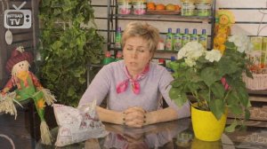 Костная мука ? Органическое удобрение ? Советы садоводам от hitsadTV