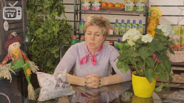 Костная мука ? Органическое удобрение ? Советы садоводам от hitsadTV