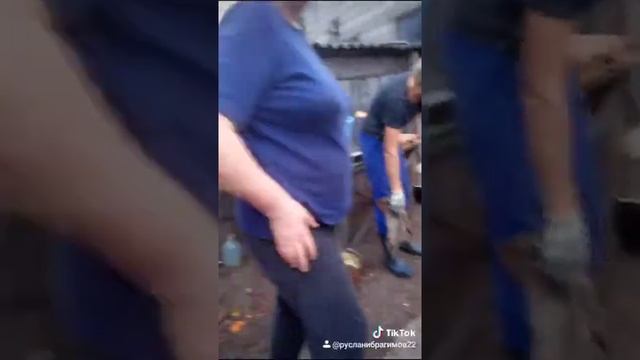 Тяжёлый мотоблок и кабан смотреть онлайн