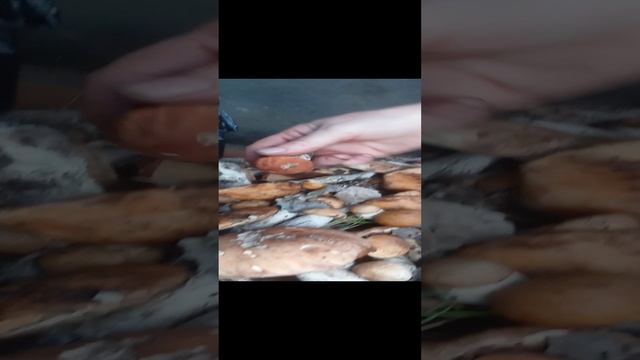 Вот так съездили за сеном.