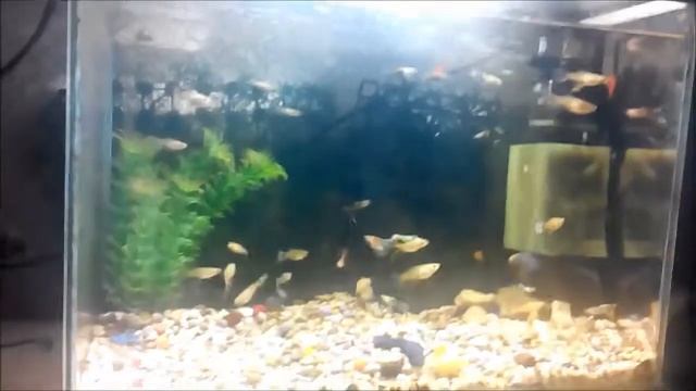 19# ОБЗОР ПРОЖЕКТОРА ( ДА БУДЕТ СВЕТ!!!!!!!!!!!!! ) смотреть онлайн