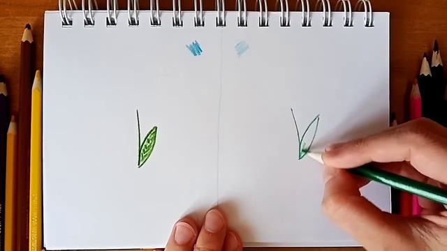 Обычные цветные карандаши и акварельные... В чём разница? смотреть онлайн