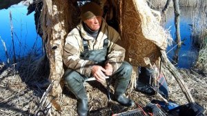 Вызаривание. Почему молчит подсадная утка?