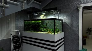 Аквариум 500 литров